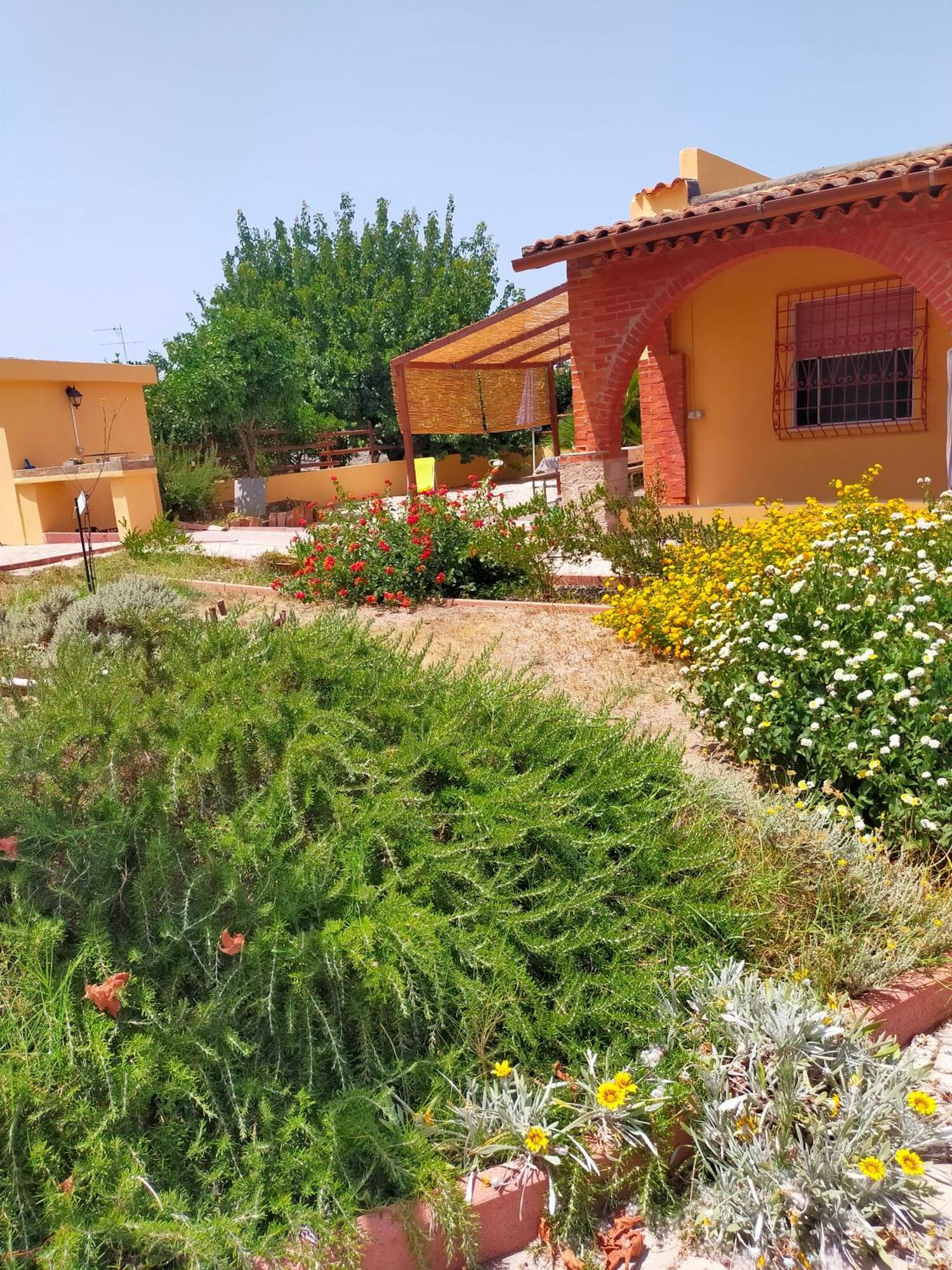 Casa Marina Lu Tuvaraggiu Casa Vacanze Сорсо Екстер'єр фото