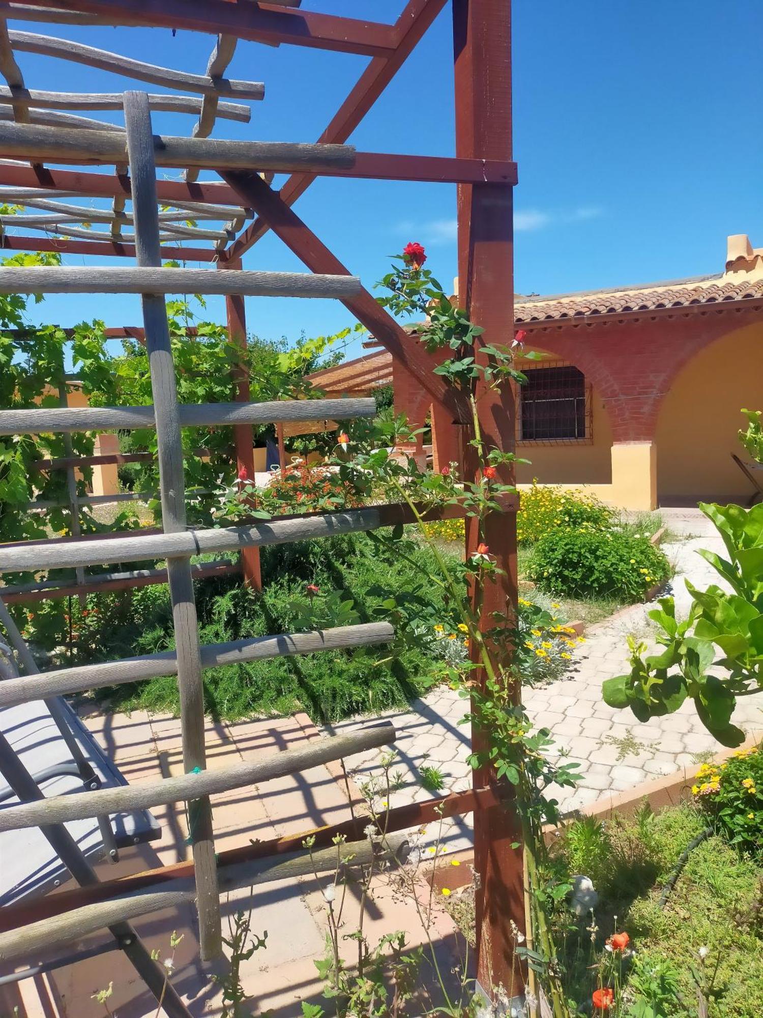 Casa Marina Lu Tuvaraggiu Casa Vacanze Сорсо Екстер'єр фото